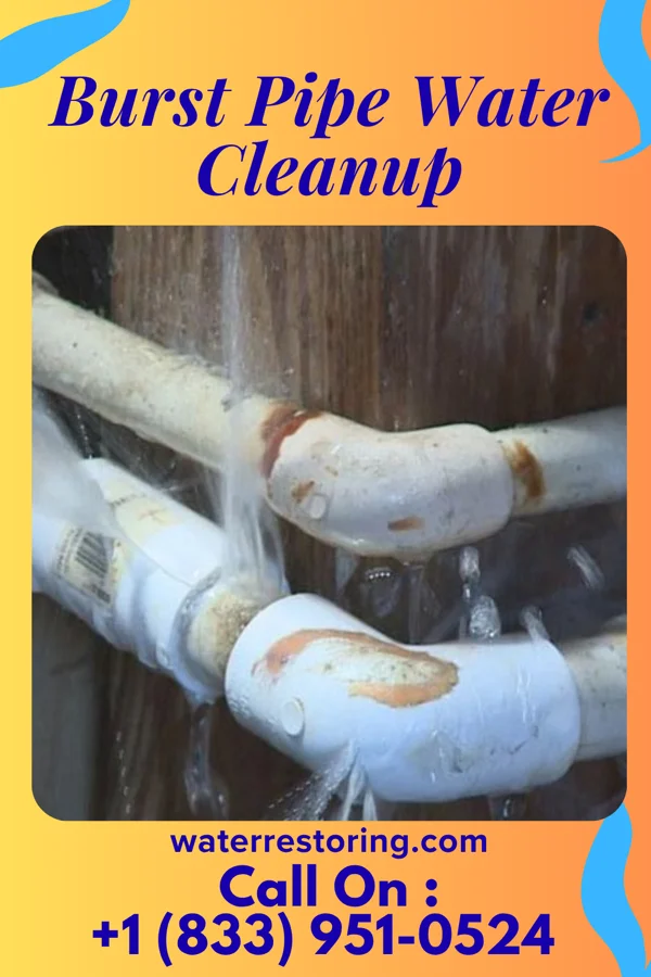Burst Pipe Water Cleanup in Zia Pueblo, NM