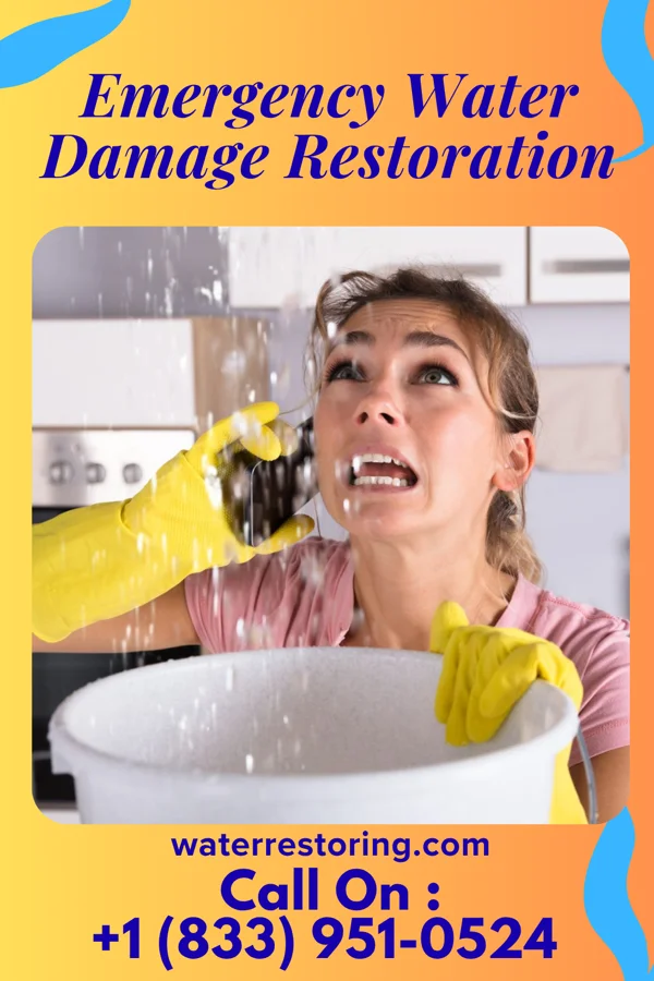 Emergency Water Damage Restoration in Zia Pueblo, NM