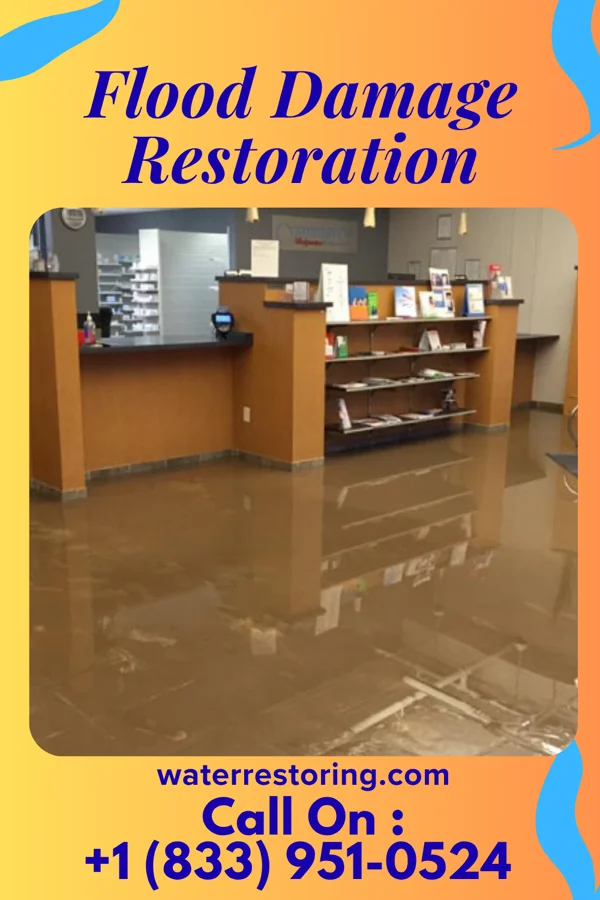 Flood Damage Restoration in Zia Pueblo, NM